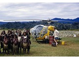 1964 : Bell 47G-3B-1 helicopter (VH-UTG) chartered from Helicopter Utilities Pty Ltd was used for traverse reconnaissance and observer party positioning work in PNG.